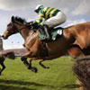 horses
